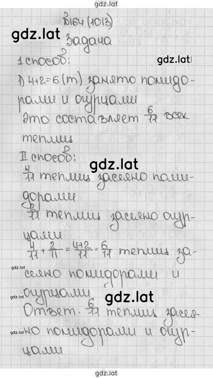 Решение задания № 1013 (164) — страница 1