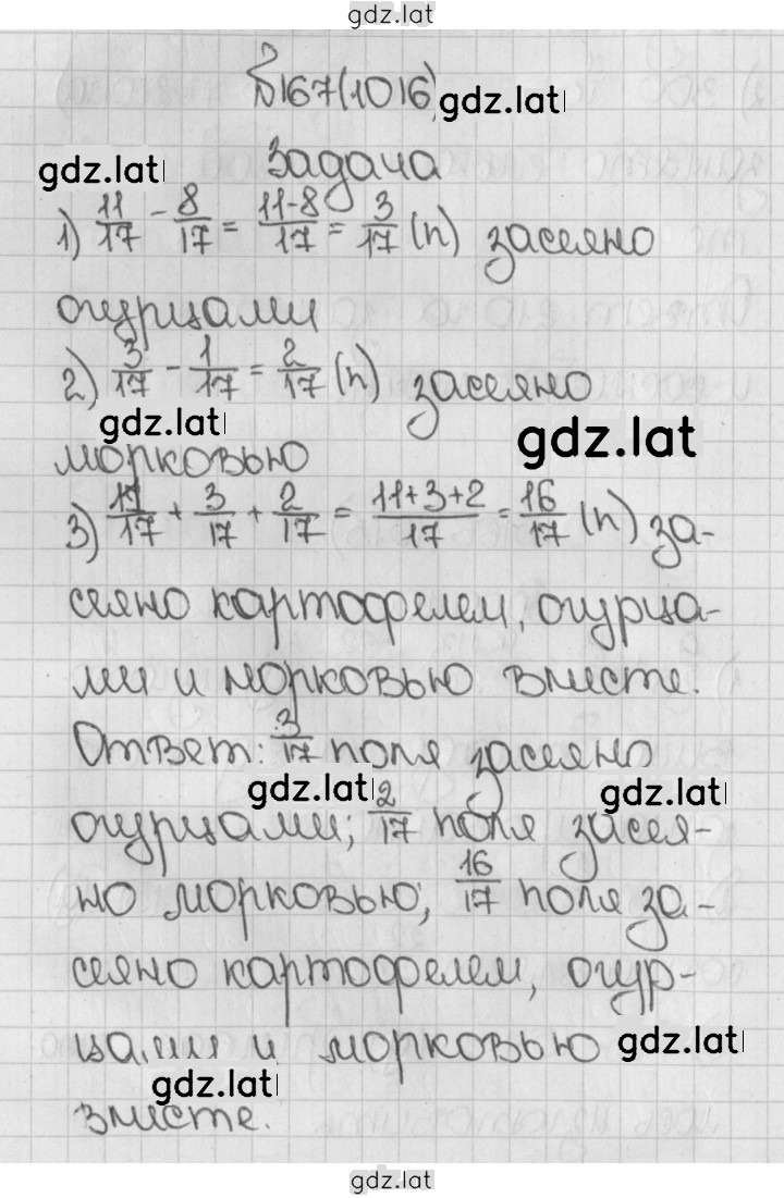 Решение задания № 1016 (167) — страница 1