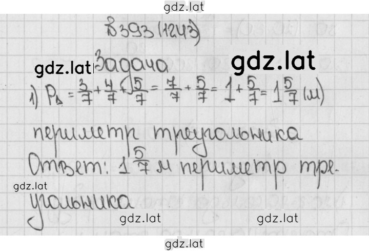 Решение задания № 1243 (393) — страница 1