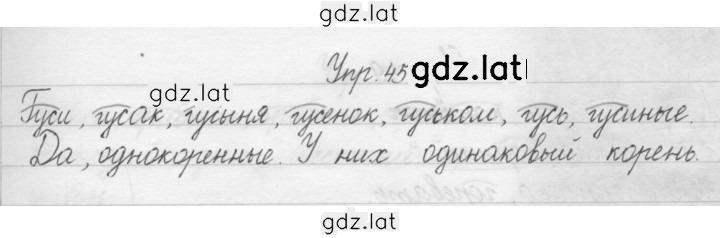 Решение задания № 45 — страница 1