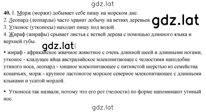 Решение задания № 40 — страница 1
