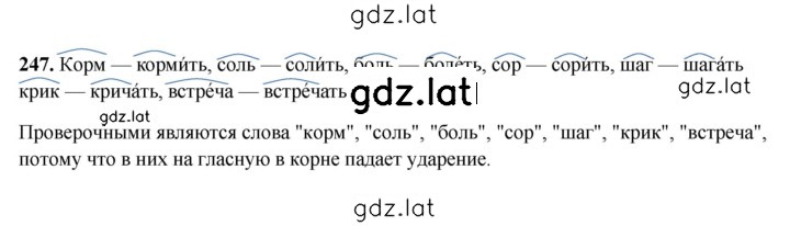 Решение задания № 247 — страница 1