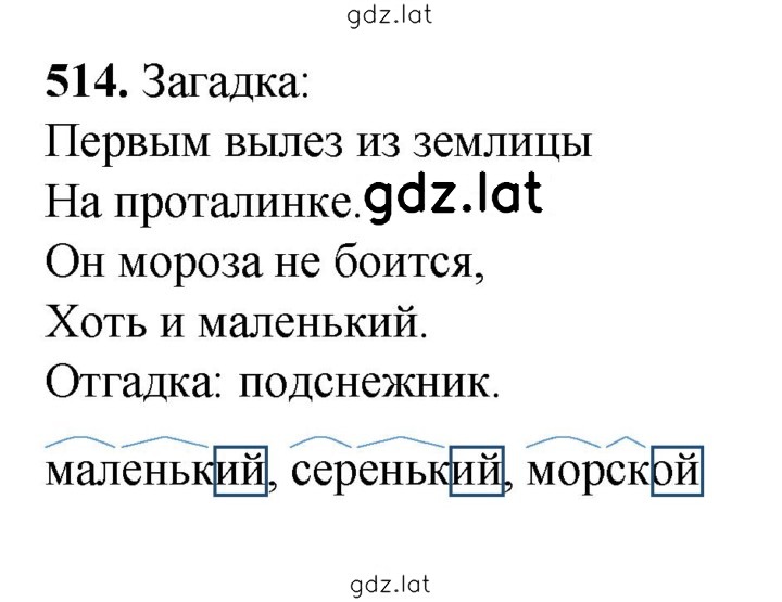 Решение задания № 514 — страница 1