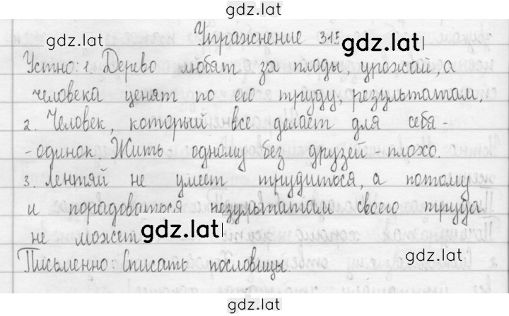 Решение задания № 315 — страница 1