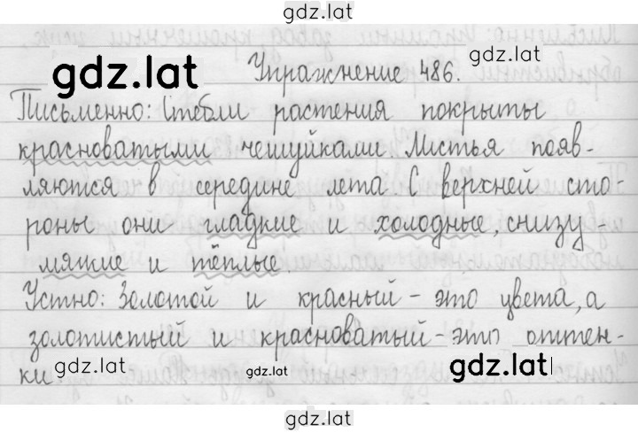 Решение задания № 486 — страница 1