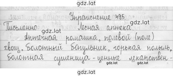 Решение задания № 495 — страница 1