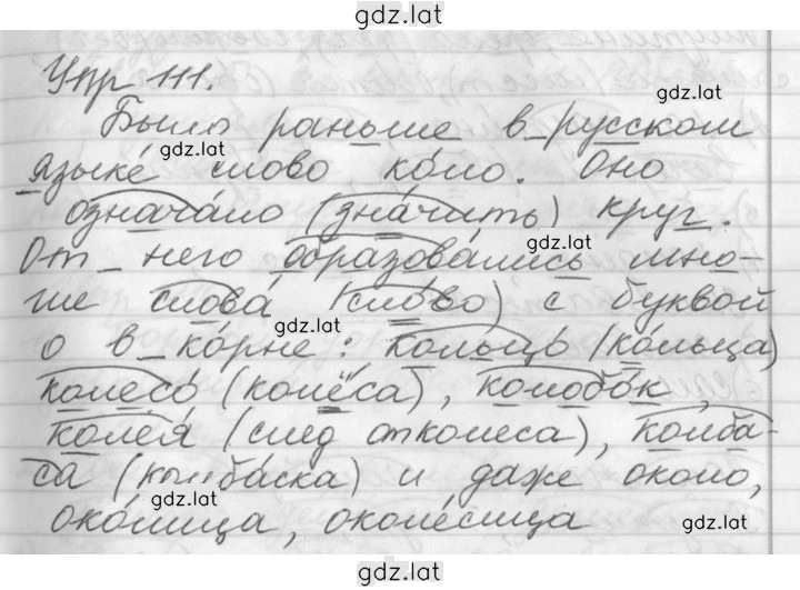 Решение задания № 111 — страница 1