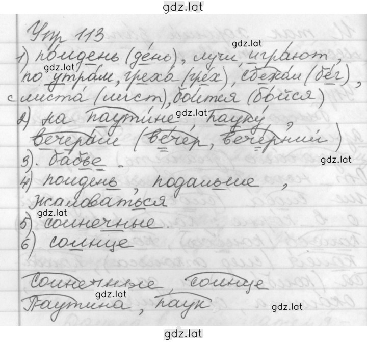 Решение задания № 113 — страница 1