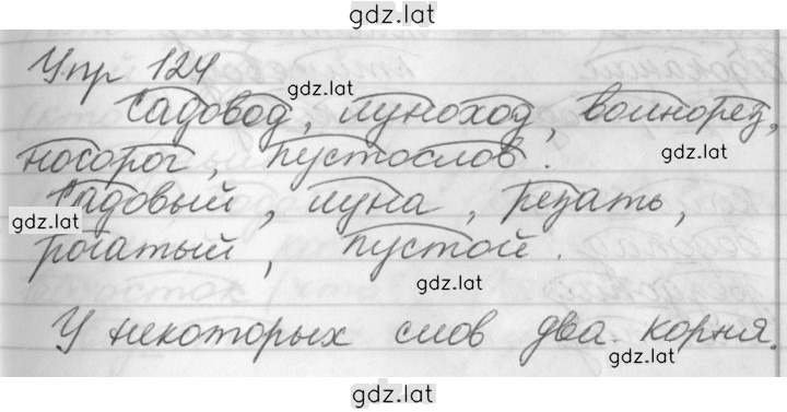 Решение задания № 124 — страница 1