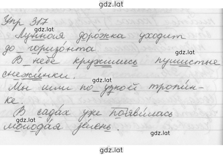Решение задания № 317 — страница 1