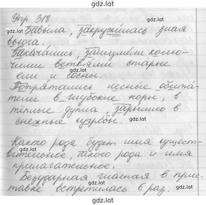 Решение задания № 318 — страница 1