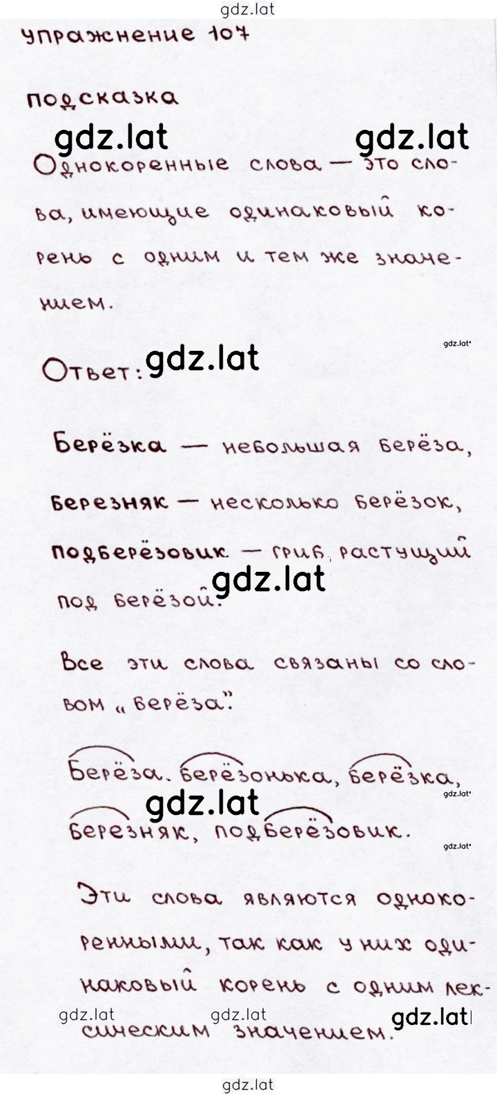 Решение задания № 107 — страница 1
