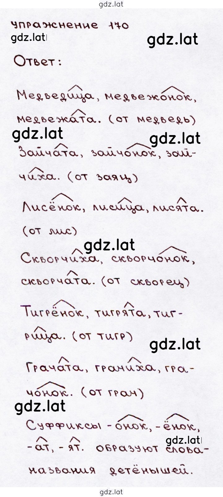 Решение задания № 170 — страница 1