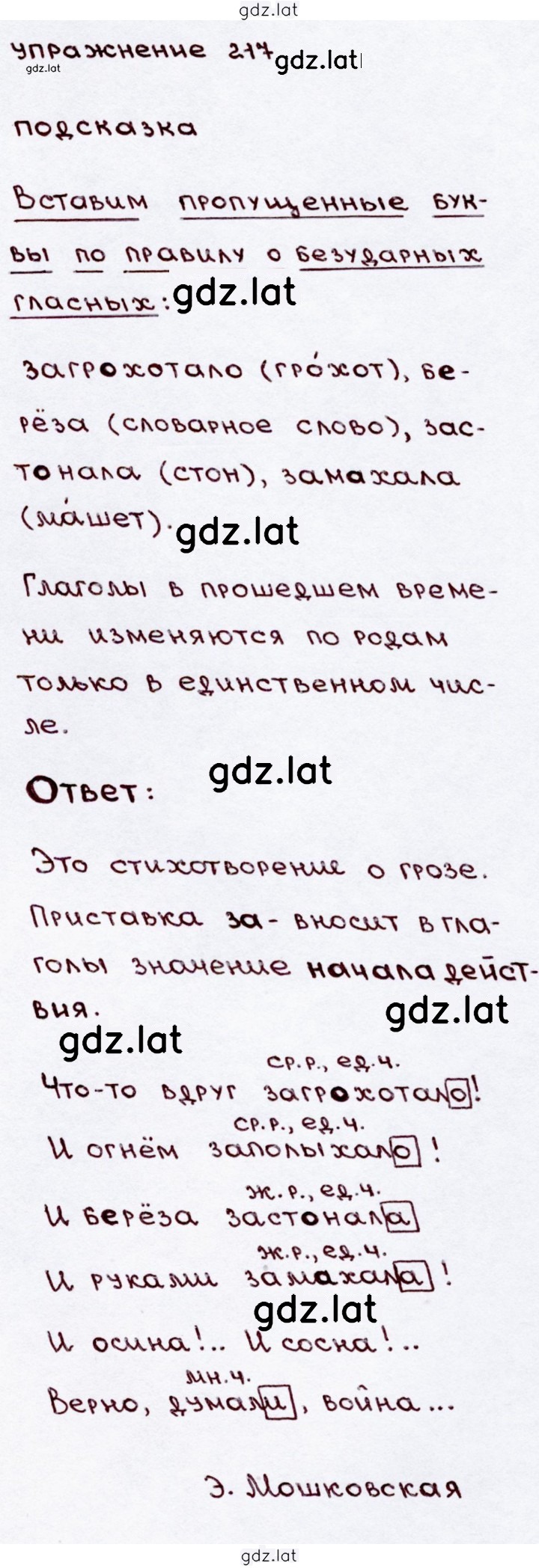 Решение задания № 217 — страница 1