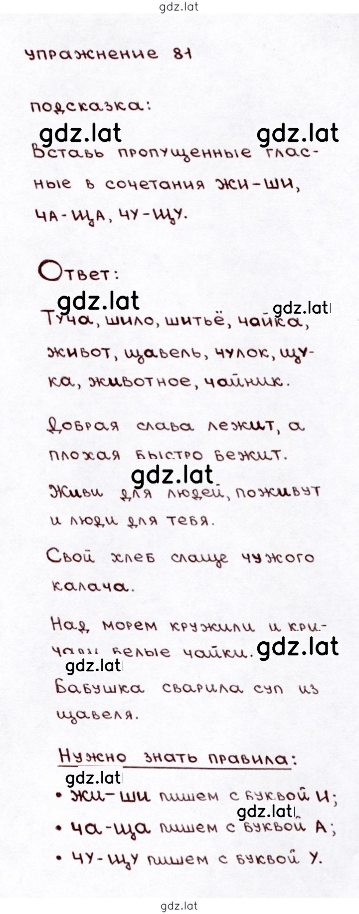 Решение задания № 81 — страница 1