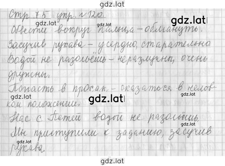 Решение задания № 120 — страница 1