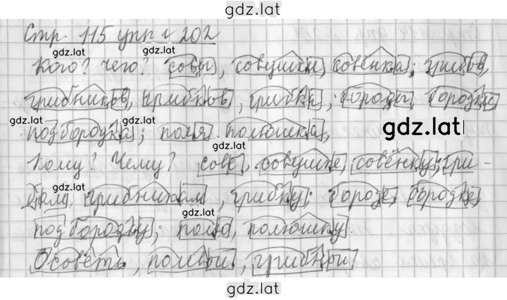 Решение задания № 202 — страница 1