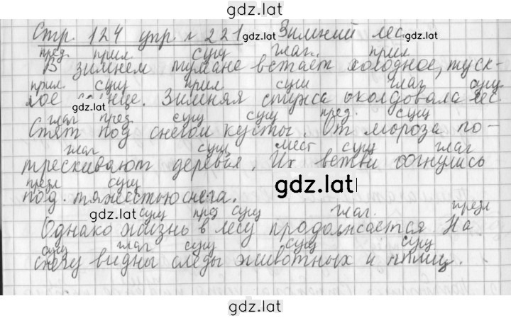 Решение задания № 221 — страница 1