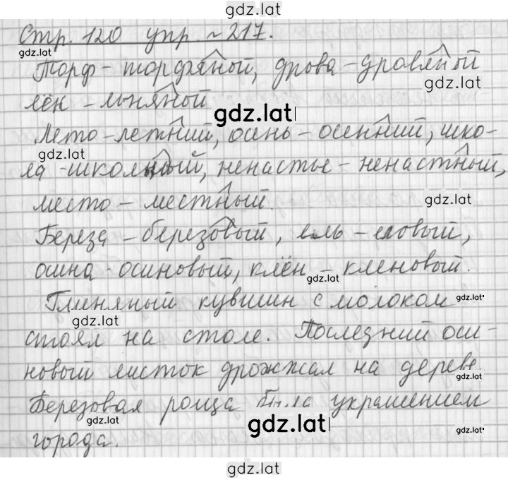 Решение задания № 217 — страница 1