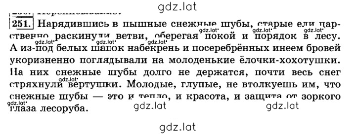 Решение задания № 251 — страница 1