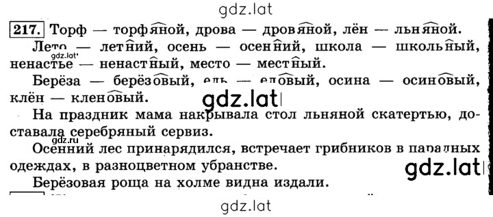 Решение задания № 217 — страница 1