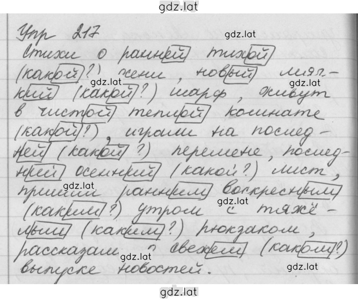 Решение задания № 217 — страница 1