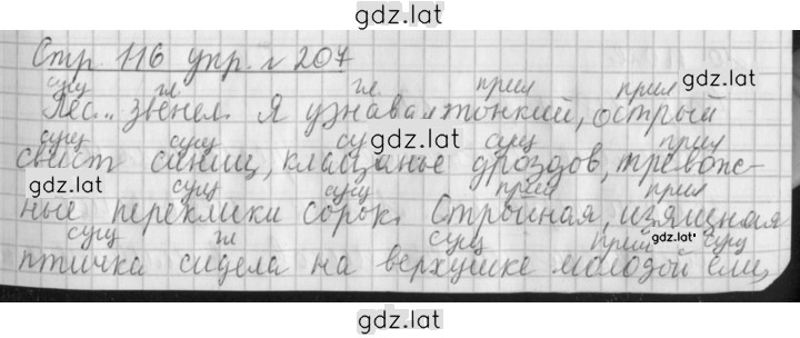 Решение задания № 207 — страница 1