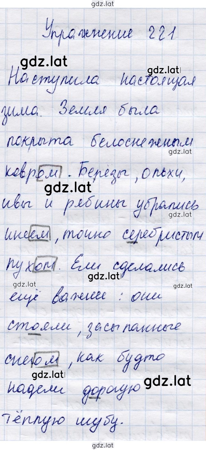 Решение задания № 221 — страница 1
