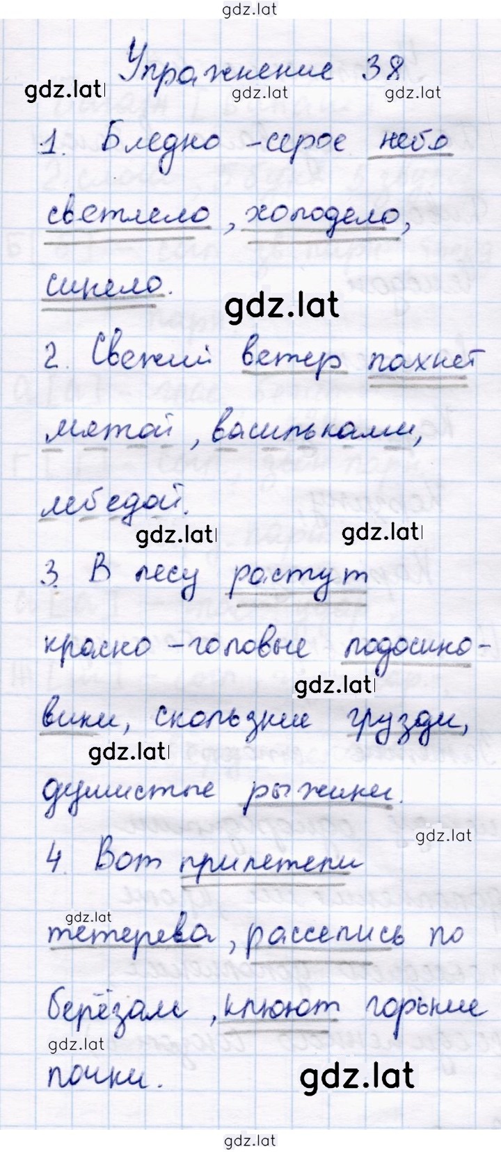 Решение задания № 38 — страница 1