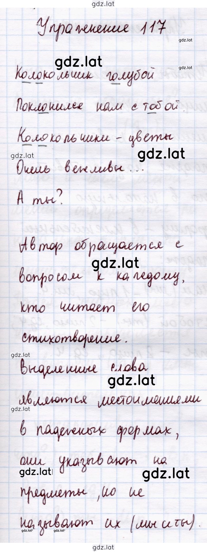 Решение задания № 117 — страница 1