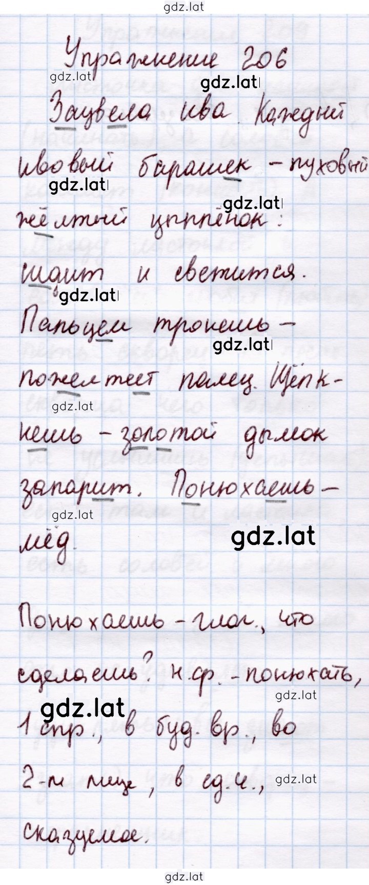 Решение задания № 206 — страница 1