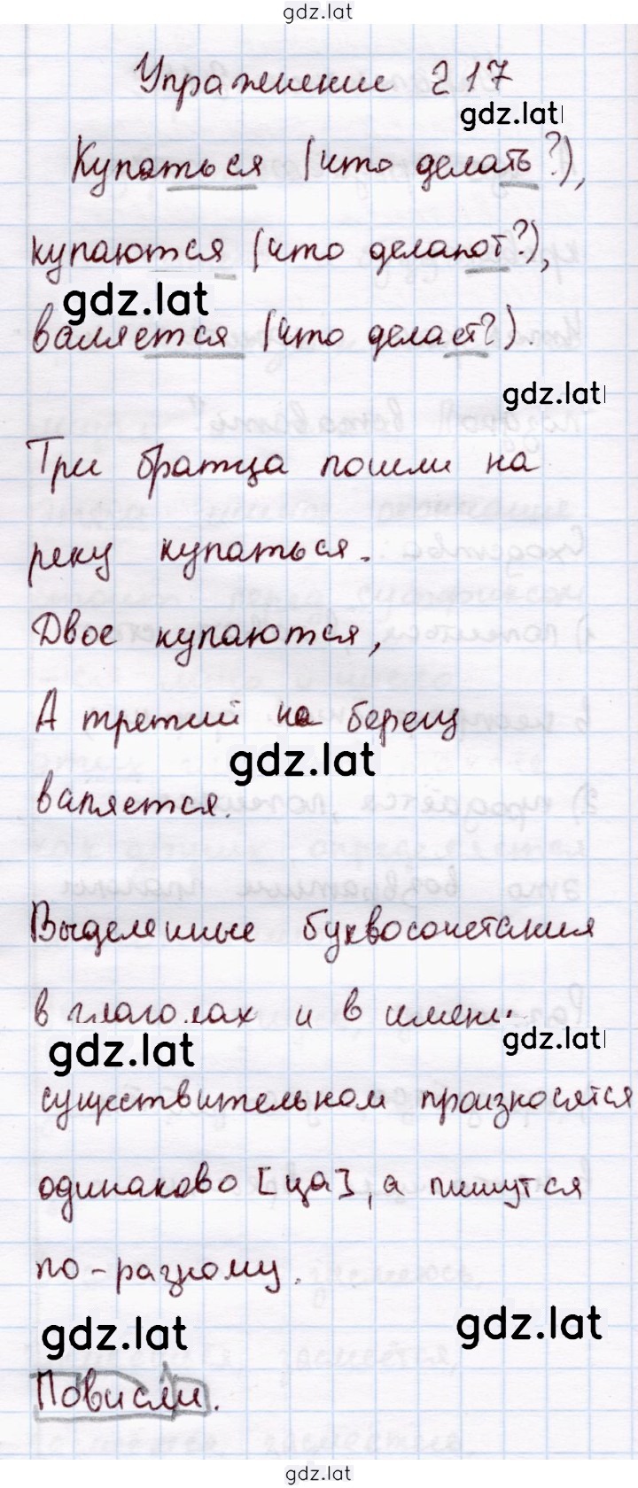 Решение задания № 217 — страница 1