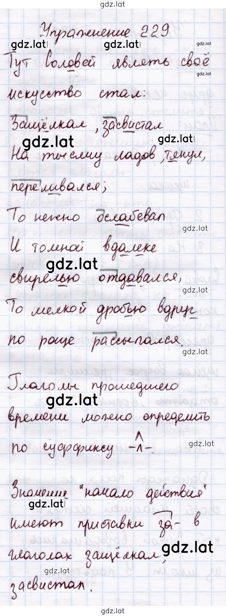 Решение задания № 229 — страница 1