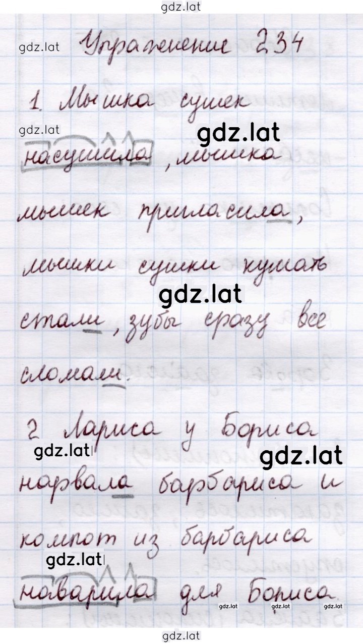 Решение задания № 234 — страница 1