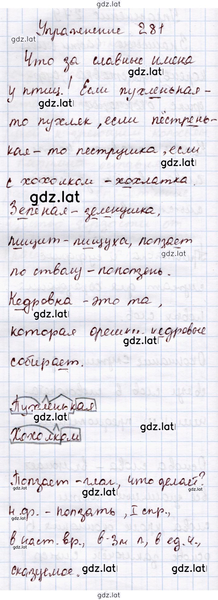 Решение задания № 281 — страница 1