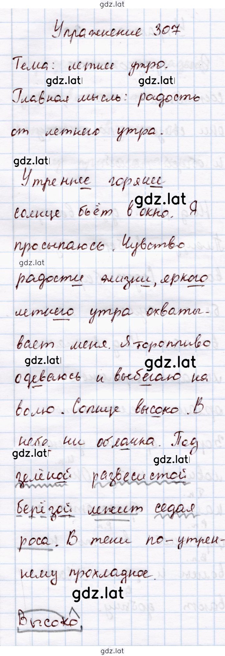 Решение задания № 307 — страница 1