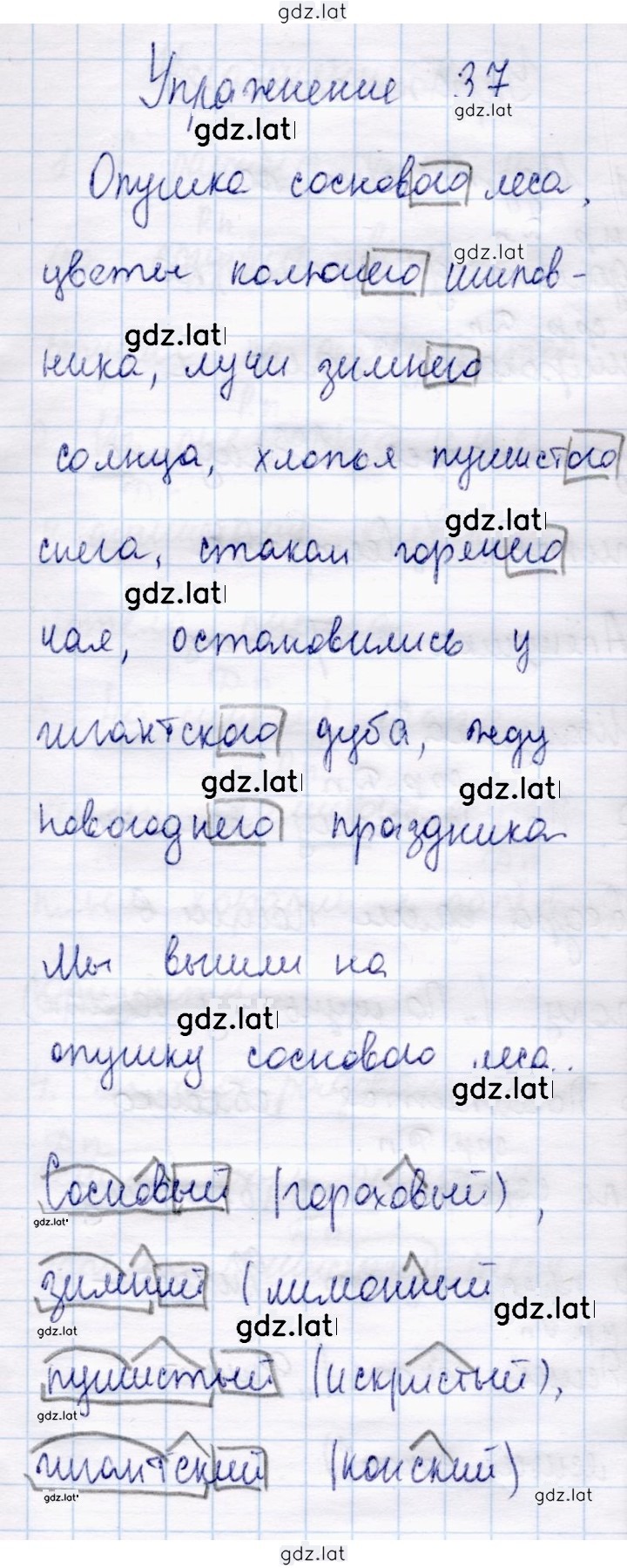 Решение задания № 37 — страница 1