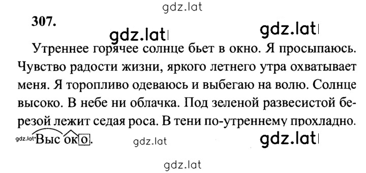 Решение задания № 307 — страница 1