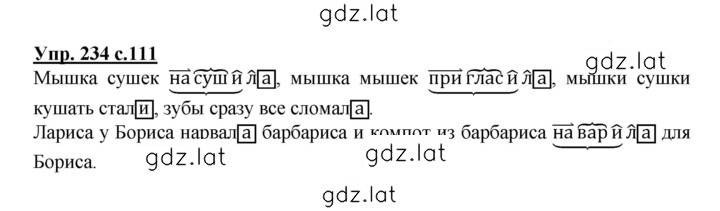Решение задания № 234 — страница 1