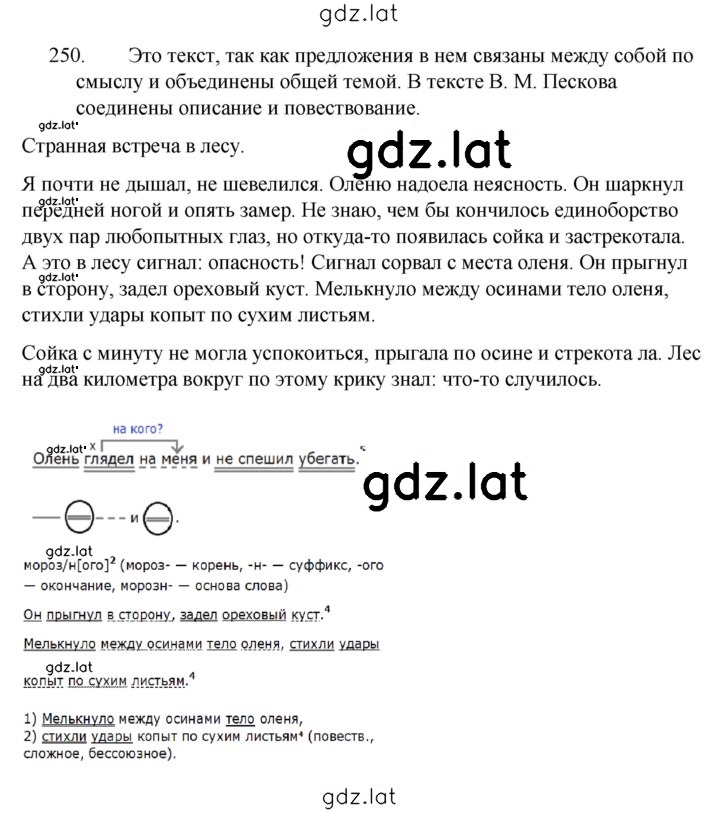 Решение задания № 250 — страница 1