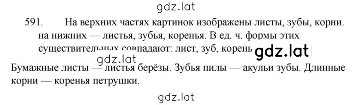 Решение задания № 591 — страница 1