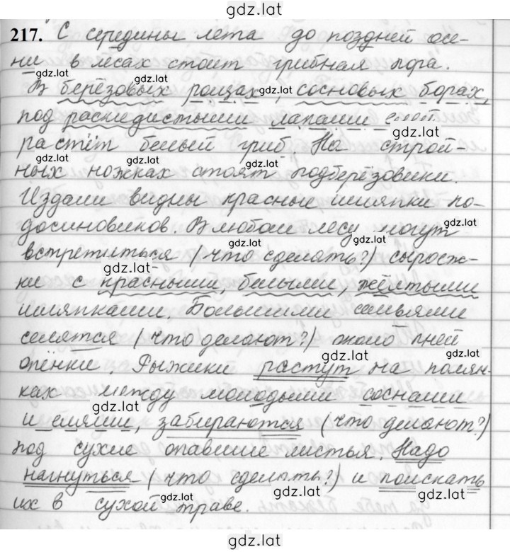 Решение задания № 217 — страница 1