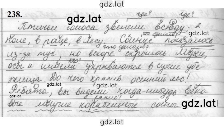 Решение задания № 238 — страница 1