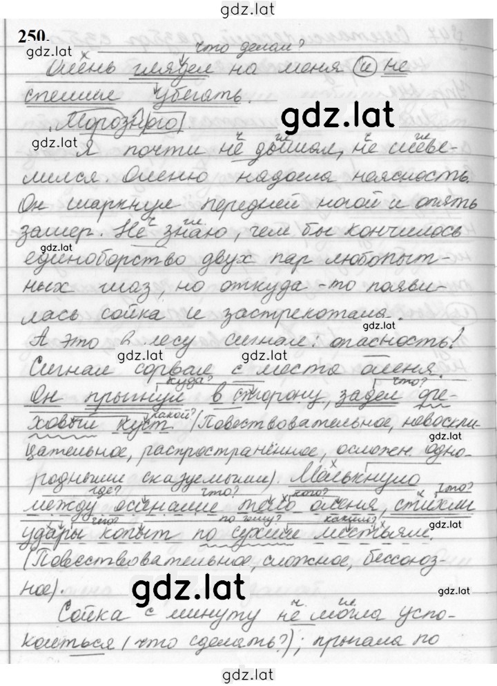 Решение задания № 250 — страница 1