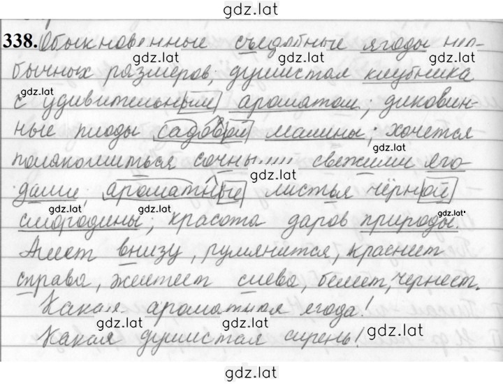 Решение задания № 338 — страница 1