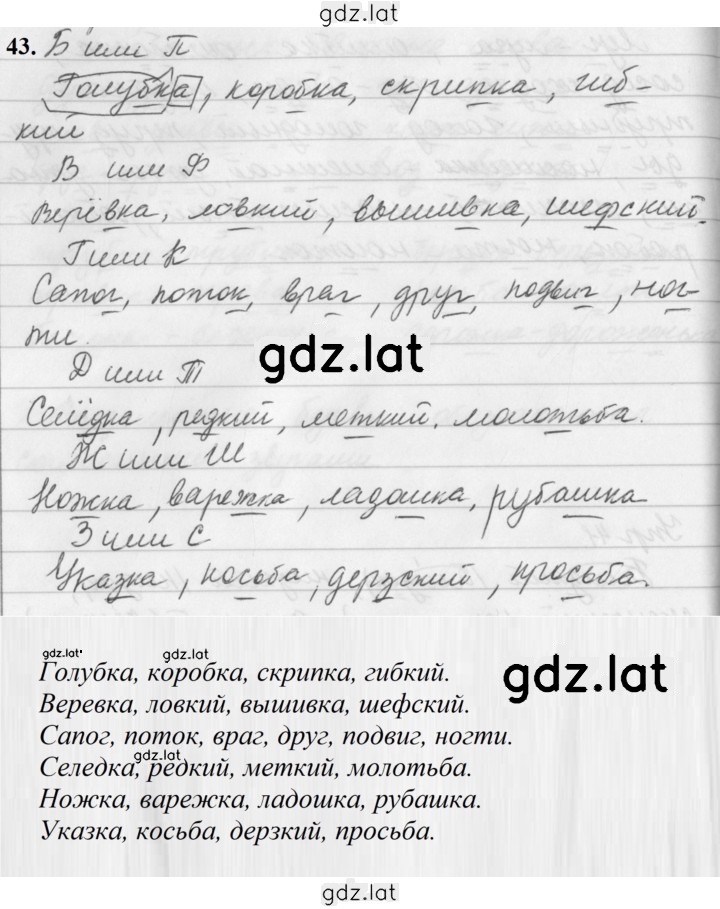 Решение задания № 43 — страница 1