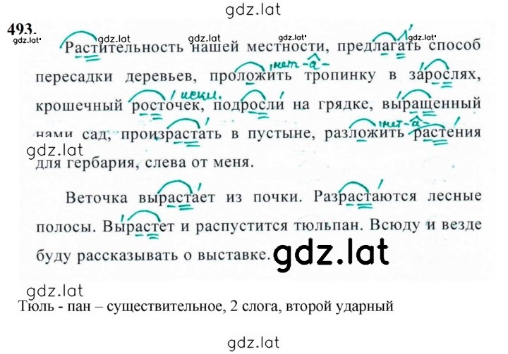 Решение задания № 493 — страница 1
