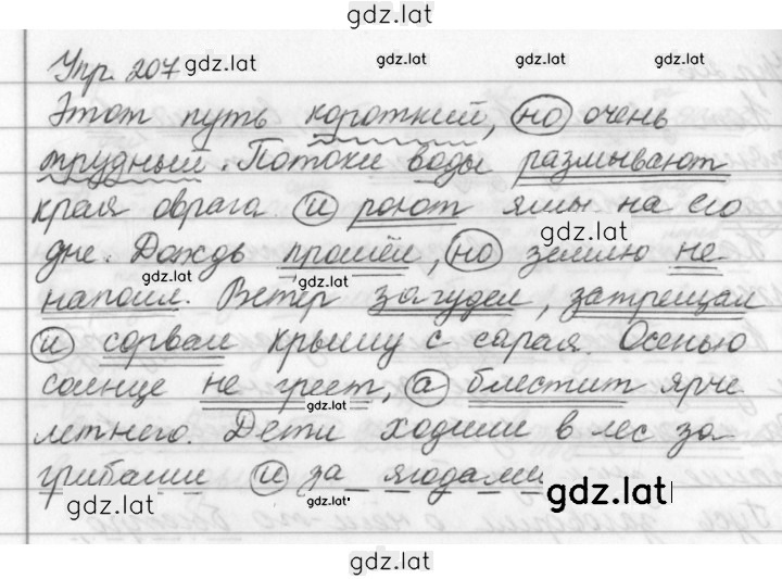 Решение задания № 207 — страница 1