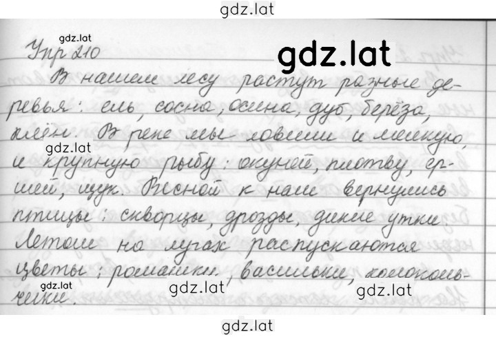 Решение задания № 210 — страница 1