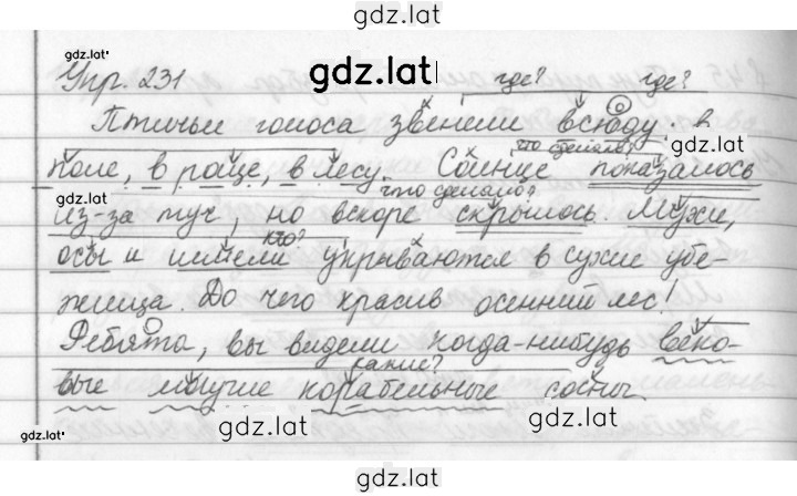 Решение задания № 231 — страница 1